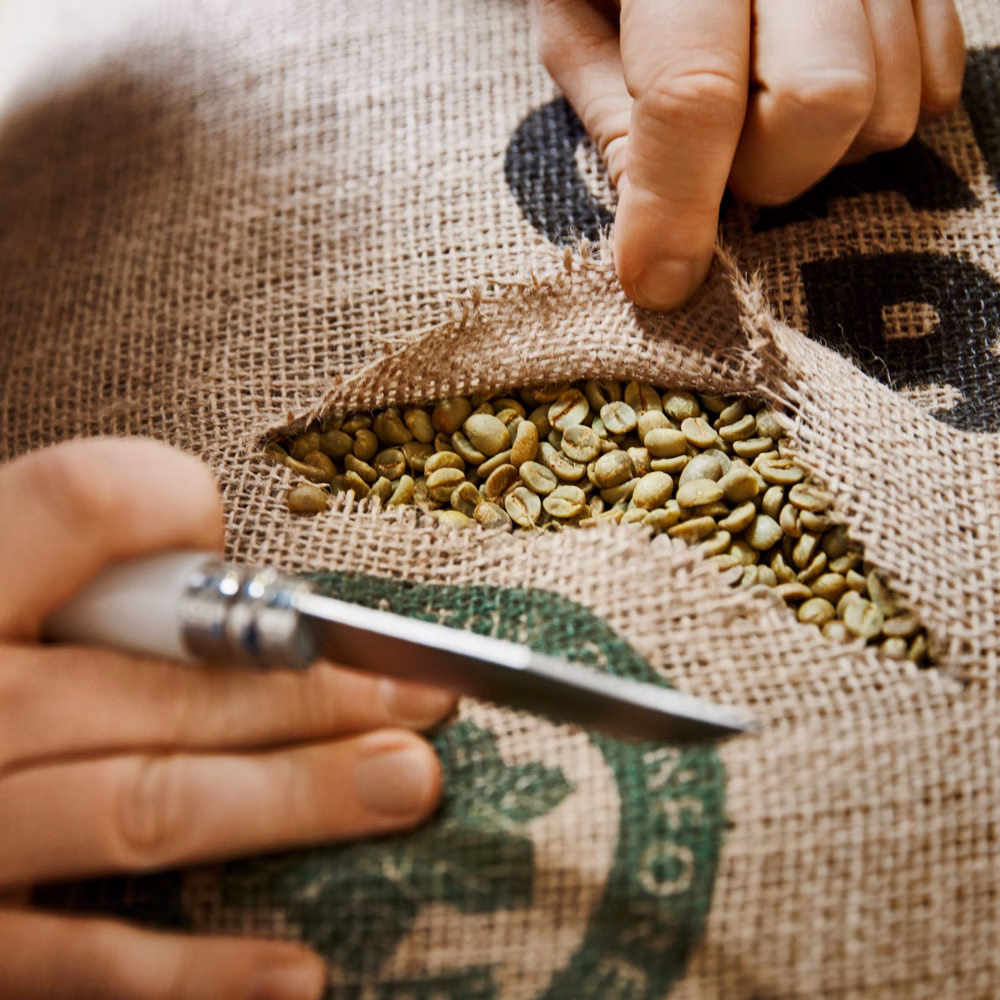 zwei Hände halten ein Messer und ein aufgeschnittener Kaffeesack ist zu sehen, in dem sich rohe Kaffeebohnen befinden